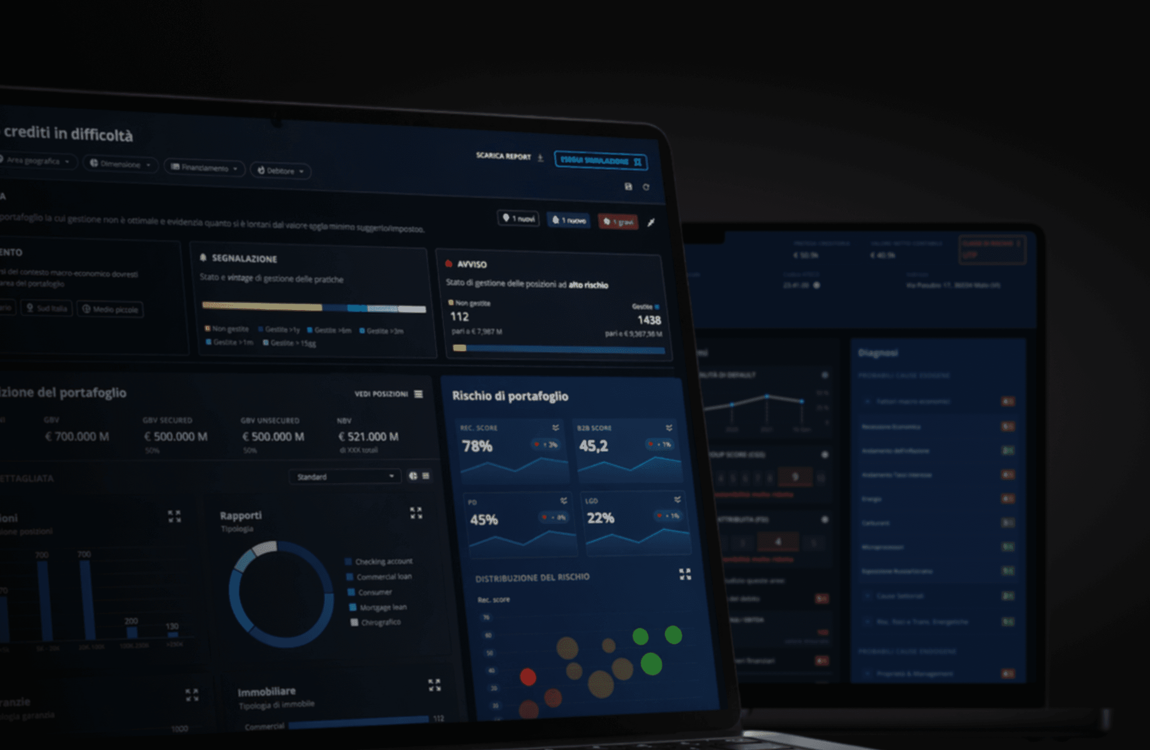 Credit Portfolio Monitoring case study preview
